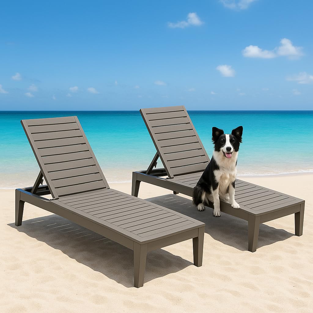 Outdoor Chaise Lounge Chair Set of 2,Waterproof & Lightweight Lounge Chair Outdoor with 5-Position Adjustable Back, Patio Lounge Chair for Garden, Pool Lounge Chairs for Poolside or Beach Use